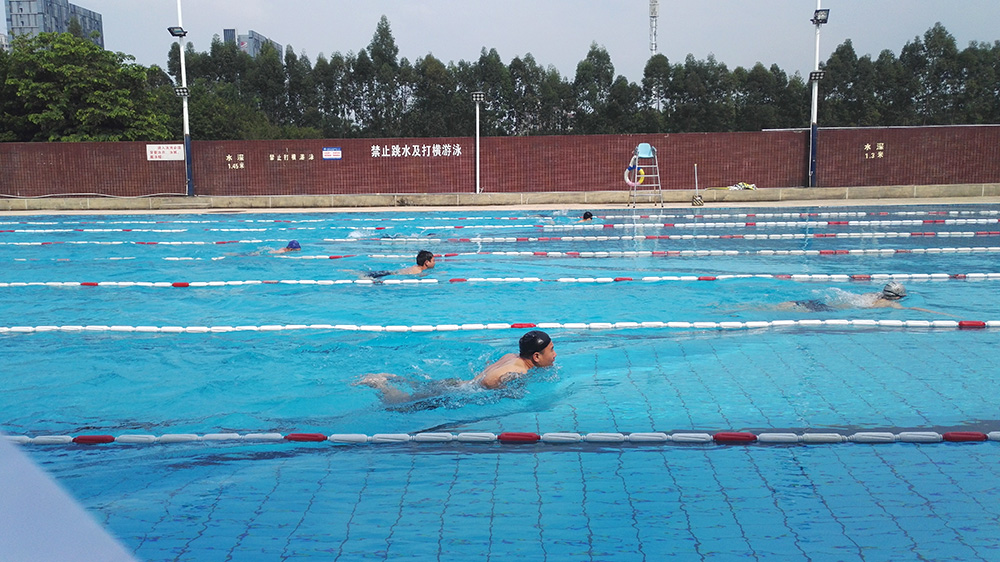 2017游泳比賽