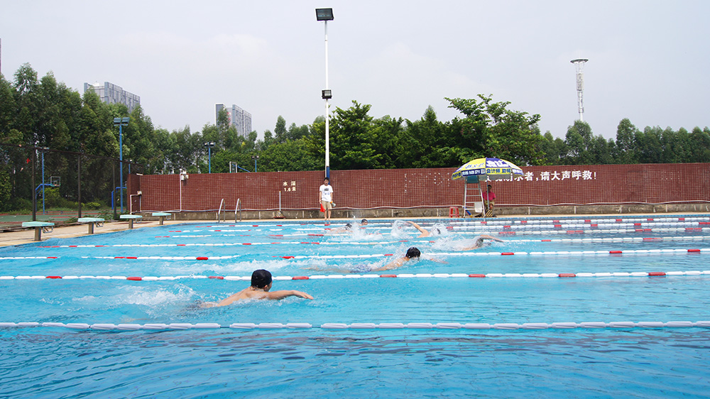 2016游泳比賽